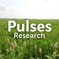 Pulses Research logo - Similar company to The Pulses Store