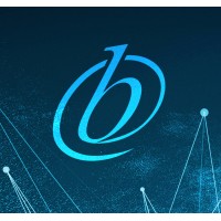 BOC Partners logo - Similar company to Aldis Group
