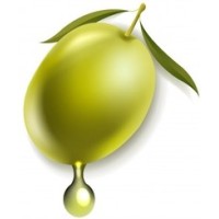 do Olival logo - Similar company to Amêndoas Vitóriapólis