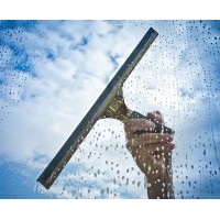 Panefree Window Cleaning