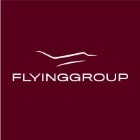 FLYINGGROUP logo - Similar company to Jetters.Be