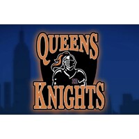 The Queens Knights logo - Similar company to Ushr