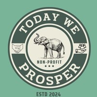 Today We Prosper Inc. logo - Similar company to Golestan Foundation