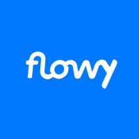 Flowy logo - Similar company to Compa