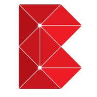 Blockchain India logo - Similar company to Blockchain Boutique