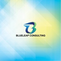 BlueLeap Consulting Pvt.Ltd logo - Similar company to Meteodyn
