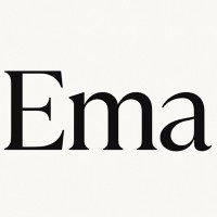 Ema Global logo - Similar company to Regalstone Capital