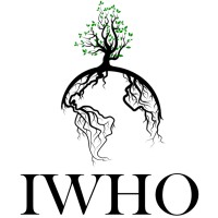 Intangible World Heritage Organization logo - Similar company to Sparksonic