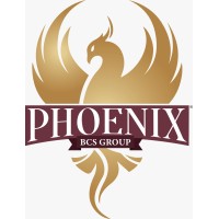 Phoenixbcs-Group Ltd logo - Similar company to Infinity-Metaverse