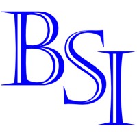 BSI Management Search & Consulting, LLC