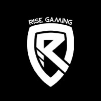 Rise Gaming BR logo - Similar company to Oddik