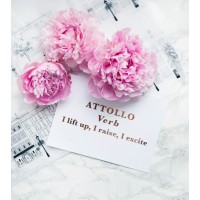 Attollo Lingerie logo - Similar company to Lingerie Line