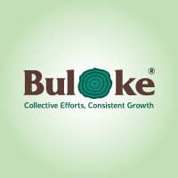 Buloke Realty Ventures Pvt Ltd logo - Similar company to Optimize My Firm