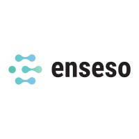 ENSESO logo - Similar company to Ardeeka