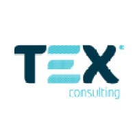 TEX Consulting logo - Similar company to Teqtex
