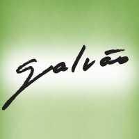 Galvão Comunicação logo - Similar company to Futturu Websites