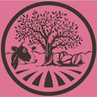 Sapucaia Agropecuária logo - Similar company to Clube De Práticas Zootécnicas