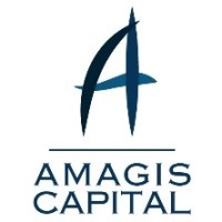 Amagis Capital: Fin-Tech,  Financial Advisory, Cloud & Cybersecurity logo - Similar company to Whtexch - The Immersive Exchange