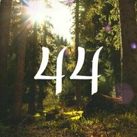 44