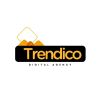 Trendico Digital Marketing Agency logo - Similar company to Digi Boulevards - Web Development & Digital Marketing Agency