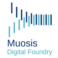 Muosis Digital Foundry logo - Similar company to Fsrscore Apps