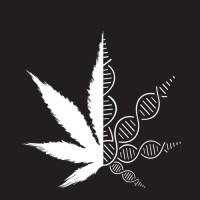 Mary Jane Marketer