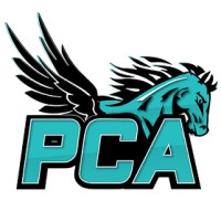 Pegasus Cheer Athletics