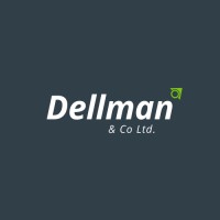Dellman & Co. Ltd UK logo - Similar company to Chostar Solutions