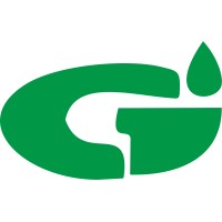 CHEMGEMS INDIA logo - Similar company to Ns Leathers