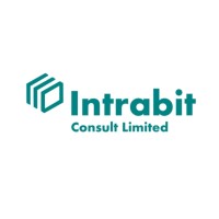 INTRABIT CONSULT LTD logo - Similar company to Yuva Hr Services
