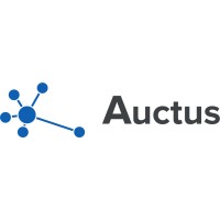 Auctus Technologies logo - Similar company to Excelencia