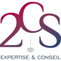 2CS Expertise et Conseil logo - Similar company to 2Cs