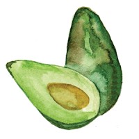 Avocado to Zen