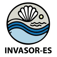INVASOR-ES logo - Similar company to Velaber Consulting