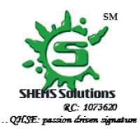 SHEMS Solutions Consultants Limited logo - Similar company to Riskvine