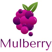 Mulberry Solutions logo - Similar company to Veracity Info Parks Pvt Ltd