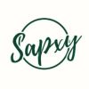 The Sapxy logo - Similar company to Betterify