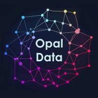 Opal Data Consulting logo - Similar company to Ma Data - An Axzoom Company
