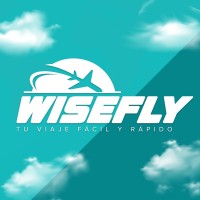 WiseFly logo - Similar company to Wisefly