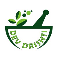 DevDrishti logo - Similar company to Dev Drishti Production Pvt. Ltd