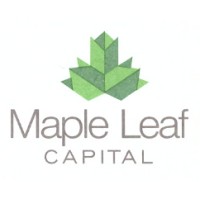 Maple Leaf Capital Limited logo - Similar company to Kh Consultancy