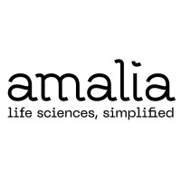 Amalia Technologies logo - Similar company to Main5