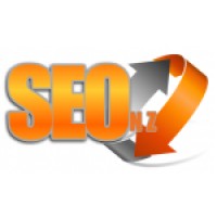 NZ SEO Services logo - Similar company to Dim Sim Media