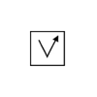 Vector Courier Services Inc.