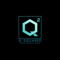 Q Squared Ltd. logo - Similar company to Q Squared Ltd