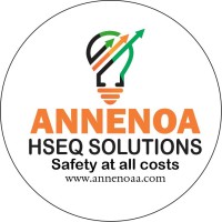 Annenoa Solutions Limited logo - Similar company to Rafa Solutions