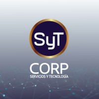 Servicios y Tecnología logo - Similar company to Wapster