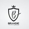 Brandie Vestiarius logo - Similar company to Devme Limited