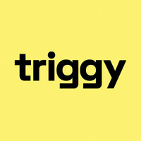 Triggy logo - Similar company to Ftdx
