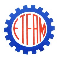 Escola Técnica Federal do Amazonas logo - Similar company to Levier Consultoria